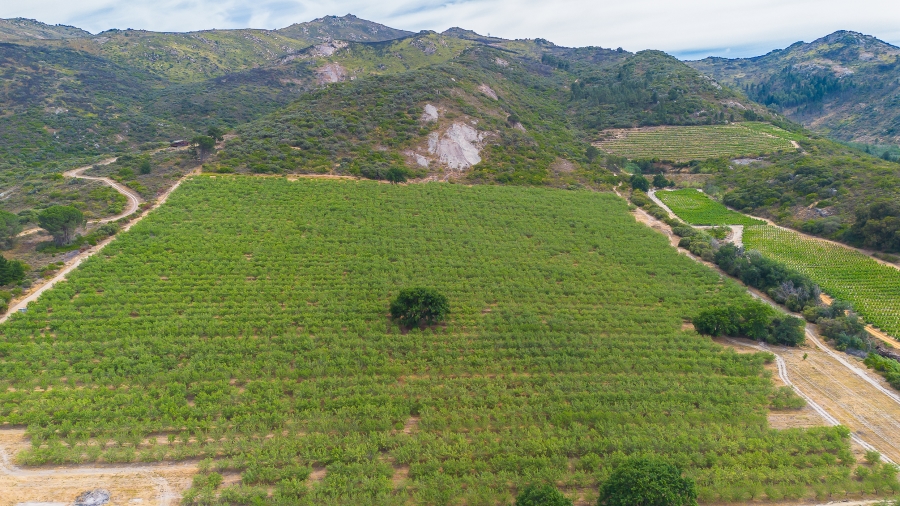 4 Bedroom Property for Sale in Paarl Rural Western Cape